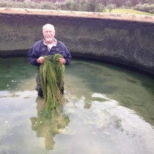The Watertank Cleaning Company SA - Lower Inman Valley, SA