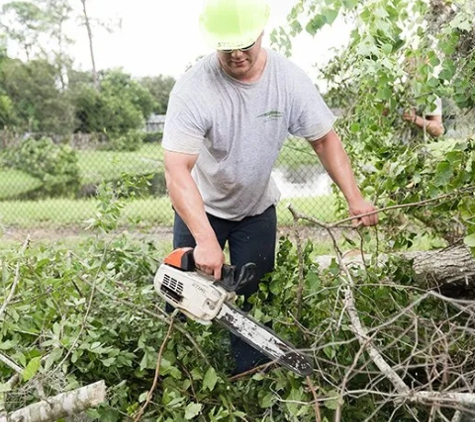 Treescapes Tree Removal Service