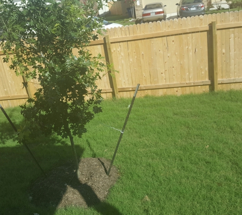 M&M Landscaping - Austin, TX