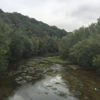 Hayswood Nature Reserve gallery