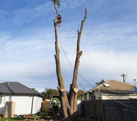 Rob's Tree Service - Tyers, VIC