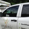 Organic Tree Services gallery