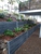Showcase Landscapes - Landscape Contractors & Designers