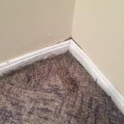 Gallery Image Number 1