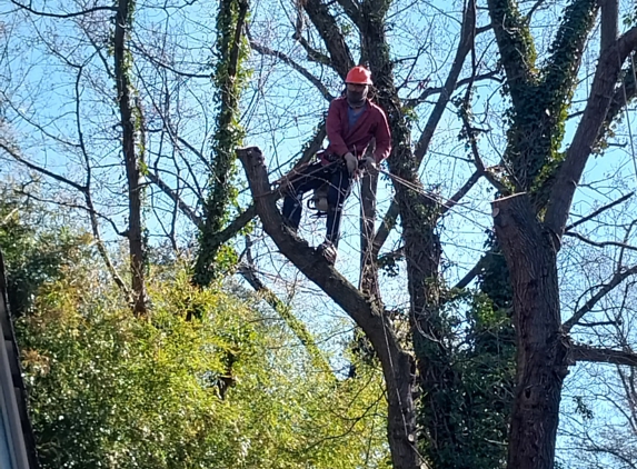 Match Grounds and Tree Service LLC - Catonsville, MD