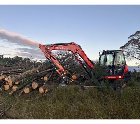 All Scale Tree Services - Mittagong, NSW