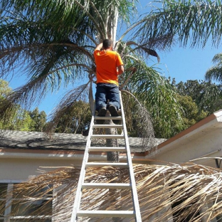 Maikel Tree Service - Tampa, FL