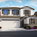 Tramore Village at Vanden Meadows by Meritage Homes - Home Builders