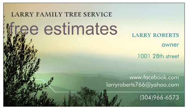 larry family tree service - vienna, WV