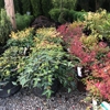 Ken Mulch Inc gallery