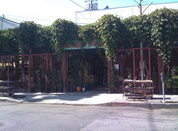 La Cienega Nursery - West Hollywood, CA