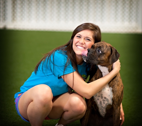 Savy Paws Pet Resort - Canton, GA