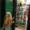 Pet Supplies Plus gallery