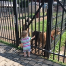 Forsyth Nature Center - Nature Centers