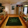 Treasure Tree Dispensary gallery