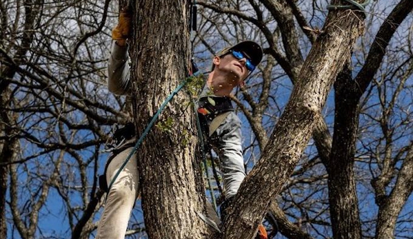 Cooper's Tree Service - New Braunfels, TX