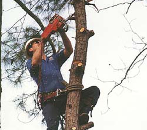 Action Tree Service, LLC