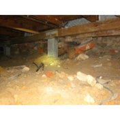 Gallery Image Number 5