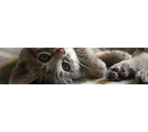 Colyton Veterinary Hospital - Oxley Park, NSW