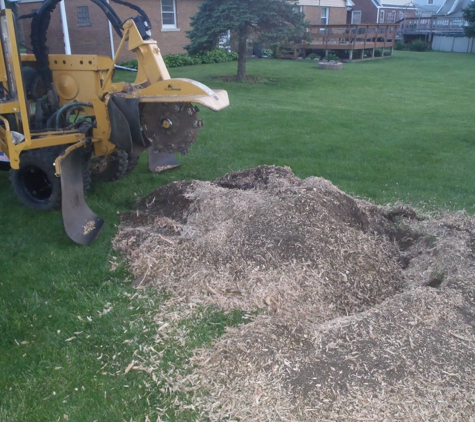 A1 Stump Grinding Service LLC - Knoxville, IL