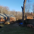 Walts Tree Service - Tree Service