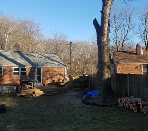 Walts Tree Service - Silver Spring, MD