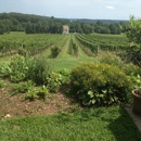 Fiore Winery - Wineries