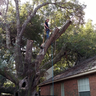 A Cut Above Tree Care, Inc.