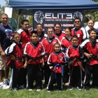 elite martial arts academy