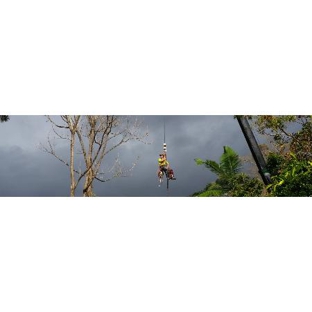 Steve Cairns Tree Service
