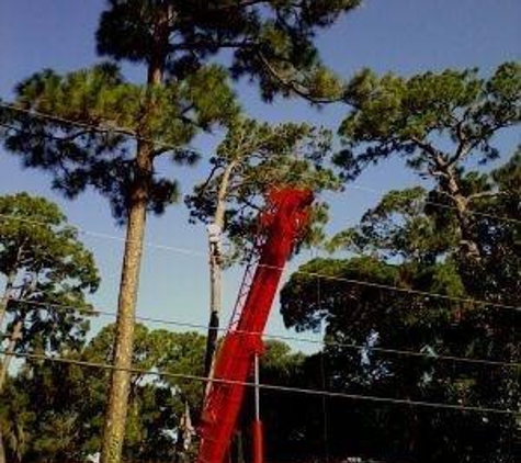 Tree Service By Curtis, Inc. - Merritt Island, FL