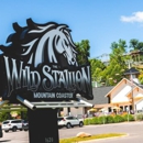 The Wild Stallion Mountain Coaster - Tourist Information & Attractions