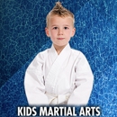100 Percent Martial Arts - Martial Arts Instruction