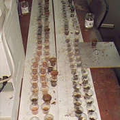 Gallery Image Number 1