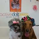 Dog Groomer Academy - Pet Grooming