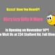 Bizzy Izzy Gifts N More