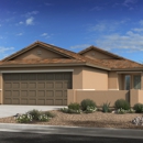 Tribute at Gladden Farms - Home Builders