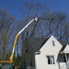 Professional Tree Service gallery