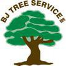 BJ Tree Service, LLC - Tree Service