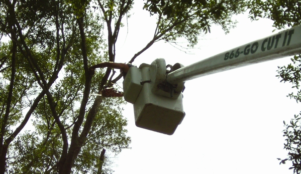 Totally Trees - Pensacola, FL