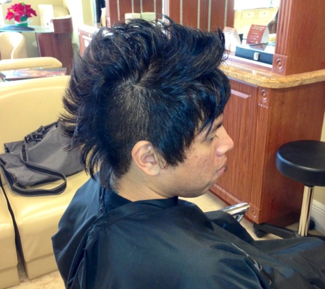 Salon & Salon of Coconut Creek - Coconut Creek, FL