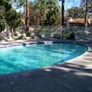 ROY'S POOLS - Swimming Pool Repair & Service