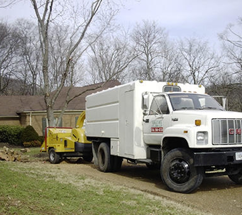 Foriest Tree Care