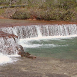 Cape York Land Council - Parramatta Park, QLD