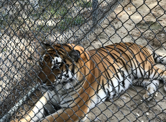 Popcorn Park Zoo - Forked River, NJ