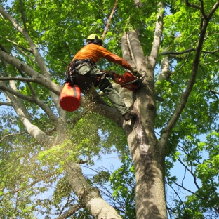 Green Valley Tree Service