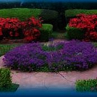 Specialty Landscape Services