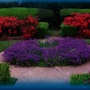 Specialty Landscape Services