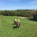 Star Gait Training, LLC - Horse Rentals