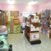 Dogs on the Run Grooming & Boutique gallery